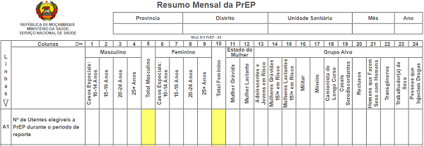 Totalizador de Resumo Mensal de PrEP